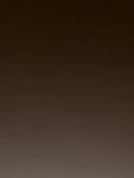 max_x_xine_ webcam model stream image