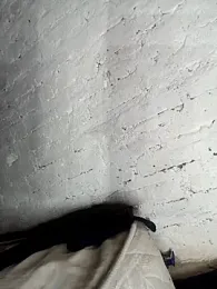 Y4NcA webcam model stream image