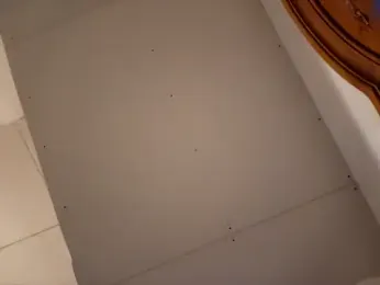 dandonn webcam model stream image