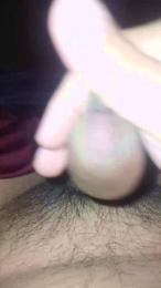 Phreen webcam model stream image