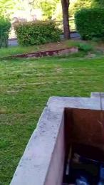 tonton65_sexy webcam model stream image