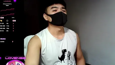 0066top webcam model stream image