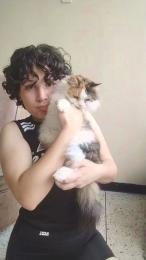 tallulahrex webcam model stream image