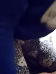 Sexlove1xo webcam stripchat model stream image