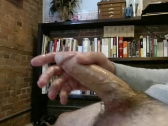 ny_cannon315 webcam model stream image