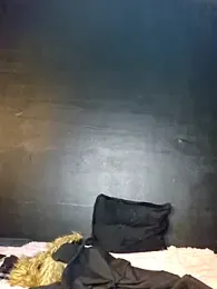 Lib_ertine32 webcam model stream image