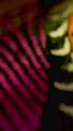 Putitapau webcam model stream image