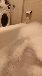 Bull419 webcam model stream image