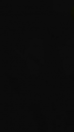 Spanit webcam model stream image