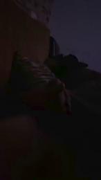 Spanit webcam model stream image