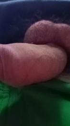 bigdikk_1 webcam model stream image