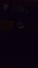 Rujucuer webcam model stream image