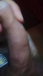 nerchiato webcam cam4 model stream image
