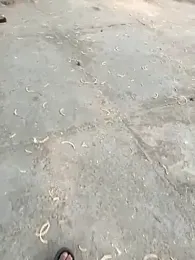 aditya_993169 webcam model stream image