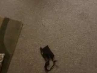 dnormous69 webcam camsoda model stream image