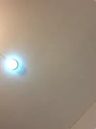 Apolo_Gray webcam model stream image