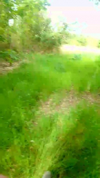 Kinky_Play webcam model stream image