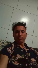 Hainicam webcam model stream image