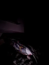 sexychutxxx7 webcam model stream image