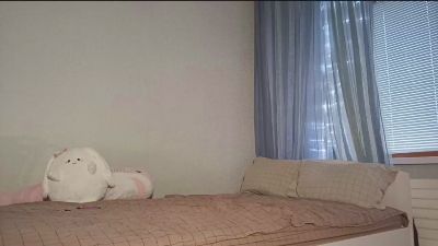 SeanBoehmke webcam model stream image