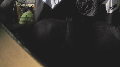 MEFOLLOENCIMA webcam model stream image