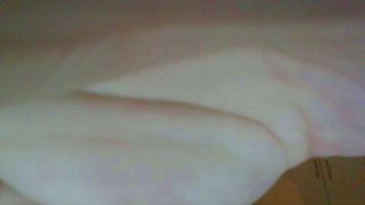 Salvanaaa webcam model stream image