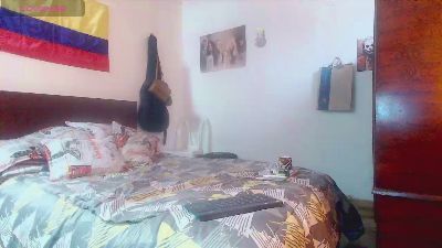 im_carla webcam model stream image