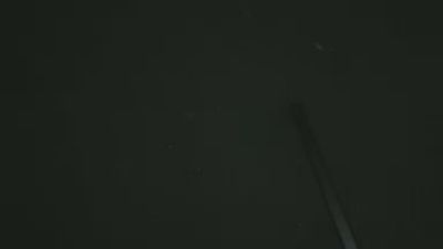 Tinyloserdick webcam model stream image