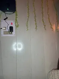 lustyindiancouple stripchat stream image