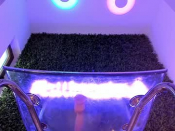 hotfallingdevil chaturbate stream image