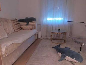 seilyfox bongacams stream image