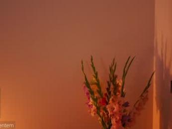 ms_seductive chaturbate stream image