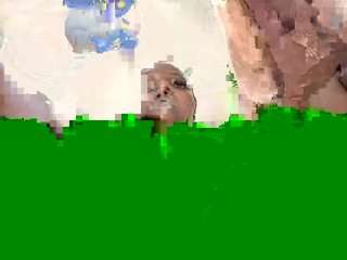 georginaemly camsoda stream image