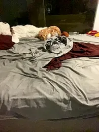 Patpatpatcift stripchat stream image