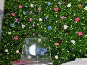 babyaylin chaturbate stream image