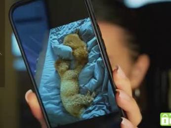 roxxxete chaturbate stream image