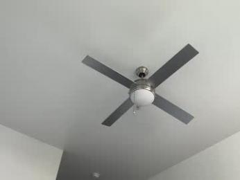 graceyrose chaturbate stream image