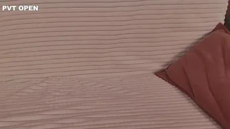 hlopushkahouse stripchat stream image