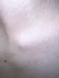 -Falcon_punch- stripchat stream image