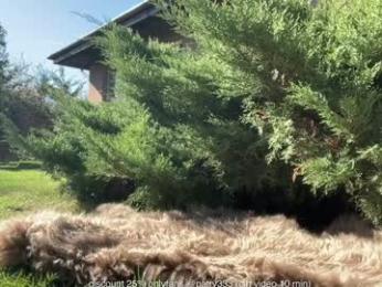 patry333 chaturbate stream image