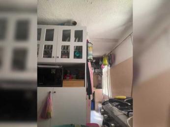 SallyeLeins bongacams stream image