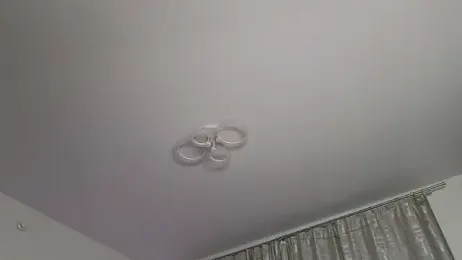 _eva_queen stripchat stream image