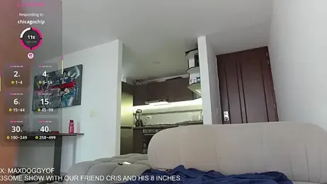 maxdoggy1 stripchat stream image