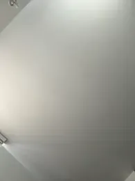 anli5 stripchat stream image