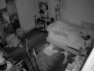 voyeurcam-hornyhostel-02 camsoda stream image