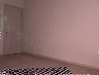 petitebrat chaturbate stream image