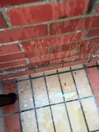 LINDA_PATTY94 stripchat stream image