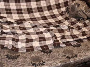 _Sunshine_ bongacams stream image