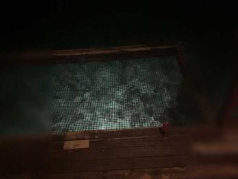 Taanni bongacams stream image