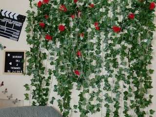 butterflybooty camsoda stream image